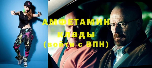 дживик Богородск