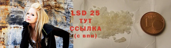 эйфоретик Бородино