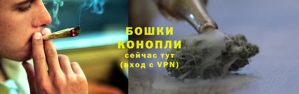 дживик Богородск