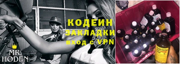 дживик Богородск