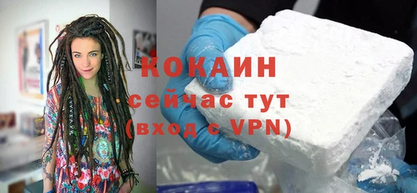 дживик Богородск