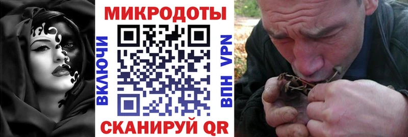 Псилоцибиновые грибы GOLDEN TEACHER  omg зеркало  Дальнегорск  сколько стоит 