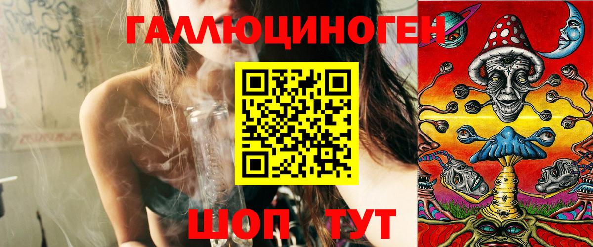 Псилоцибиновые грибы прущие грибы Дальнегорск