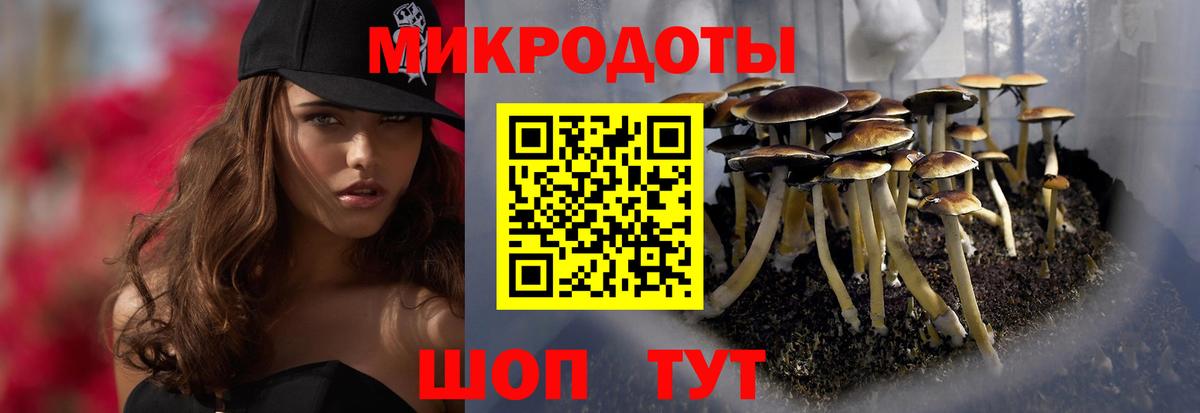 Псилоцибиновые грибы Psilocybe  Вход с VPN  Галлюциногенные грибы мицелий  купить   Дальнегорск 